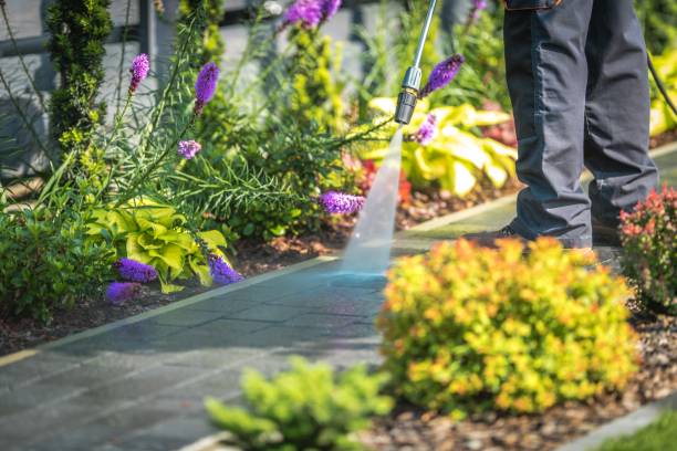 Best Sidewalk and Walkway Cleaning  in River Ridge, FL