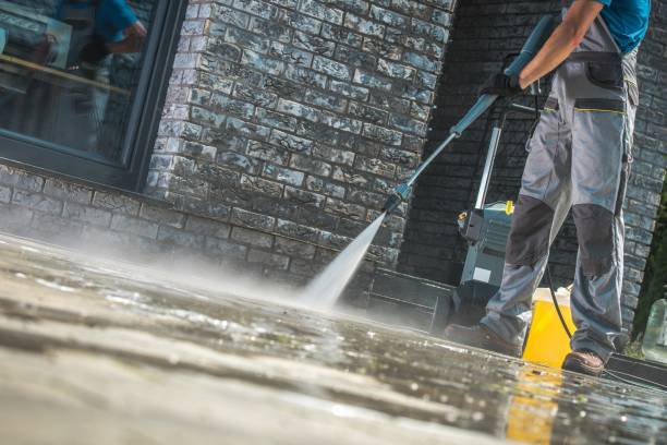 Best House Exterior Washing  in River Ridge, FL