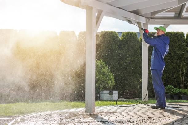 Best Dumpster Area Cleaning  in River Ridge, FL
